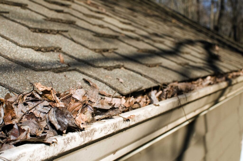 spring roof problems, spring weather damage, spring roof damage